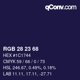 Color code: RGB 28 23 68 | qconv.com