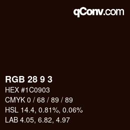 Color code: RGB 28 9 3 | qconv.com