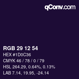 Color code: RGB 29 12 54 | qconv.com