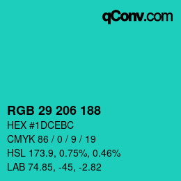 Color code: RGB 29 206 188 | qconv.com