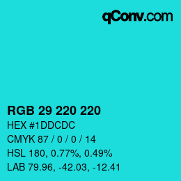 Color code: RGB 29 220 220 | qconv.com
