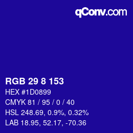 Color code: RGB 29 8 153 | qconv.com
