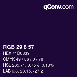 Color code: RGB 29 8 57 | qconv.com
