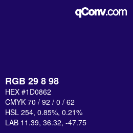 Color code: RGB 29 8 98 | qconv.com