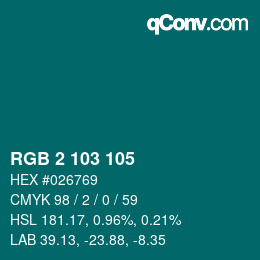 颜色代码: RGB 2 103 105 | qconv.com