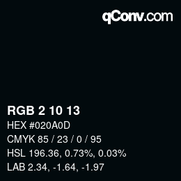 颜色代码: RGB 2 10 13 | qconv.com