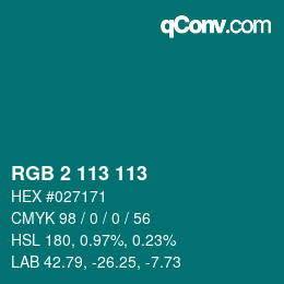 Color code: RGB 2 113 113 | qconv.com