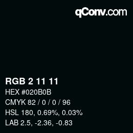 Color code: RGB 2 11 11 | qconv.com