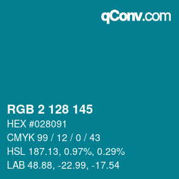 Color code: RGB 2 128 145 | qconv.com