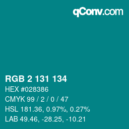 カラーコード: RGB 2 131 134 | qconv.com