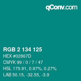 Color code: RGB 2 134 125 | qconv.com