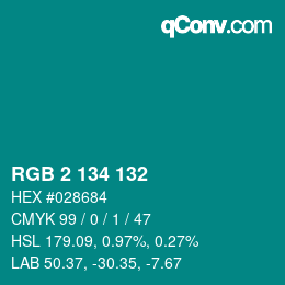 Color code: RGB 2 134 132 | qconv.com