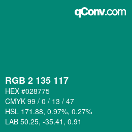 Color code: RGB 2 135 117 | qconv.com