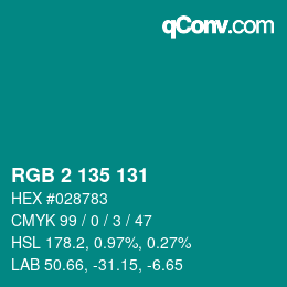 Color code: RGB 2 135 131 | qconv.com