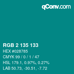 カラーコード: RGB 2 135 133 | qconv.com