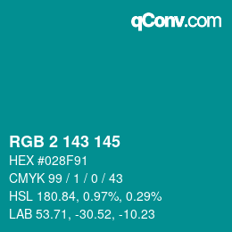 Color code: RGB 2 143 145 | qconv.com