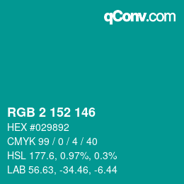 Color code: RGB 2 152 146 | qconv.com
