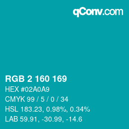 Color code: RGB 2 160 169 | qconv.com