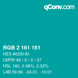 Color code: RGB 2 161 161 | qconv.com