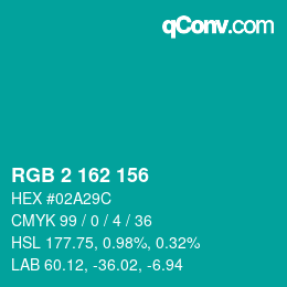 Color code: RGB 2 162 156 | qconv.com