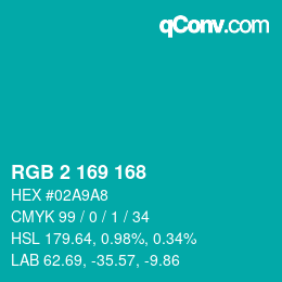 Color code: RGB 2 169 168 | qconv.com