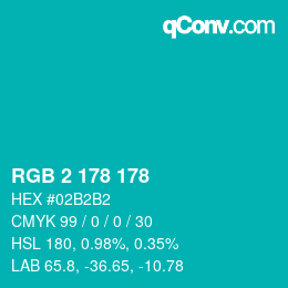 Color code: RGB 2 178 178 | qconv.com
