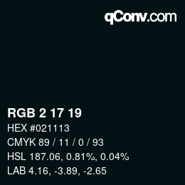カラーコード: RGB 2 17 19 | qconv.com