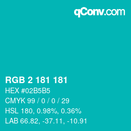 Color code: RGB 2 181 181 | qconv.com
