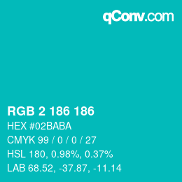 Color code: RGB 2 186 186 | qconv.com