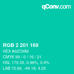 Color code: RGB 2 201 169 | qconv.com