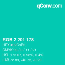 Color code: RGB 2 201 178 | qconv.com