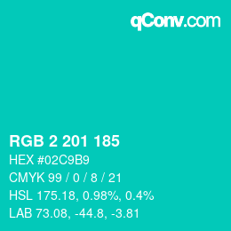 Color code: RGB 2 201 185 | qconv.com