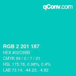Color code: RGB 2 201 187 | qconv.com