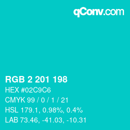 Color code: RGB 2 201 198 | qconv.com