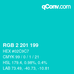 Color code: RGB 2 201 199 | qconv.com