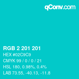 Color code: RGB 2 201 201 | qconv.com