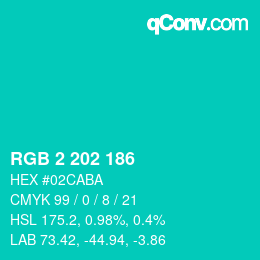 Color code: RGB 2 202 186 | qconv.com