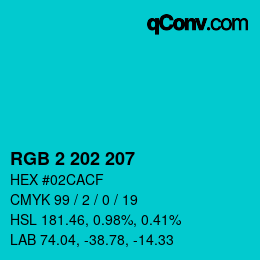 Color code: RGB 2 202 207 | qconv.com
