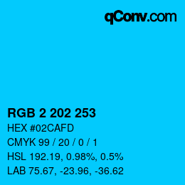Color code: RGB 2 202 253 | qconv.com