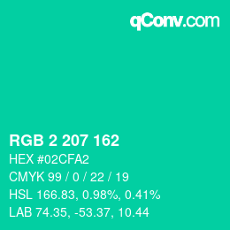 Color code: RGB 2 207 162 | qconv.com