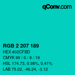 Color code: RGB 2 207 189 | qconv.com