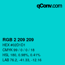 Color code: RGB 2 209 209 | qconv.com