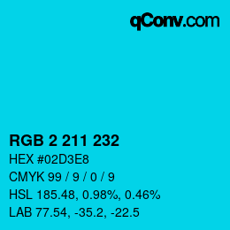 Color code: RGB 2 211 232 | qconv.com