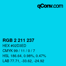 Color code: RGB 2 211 237 | qconv.com
