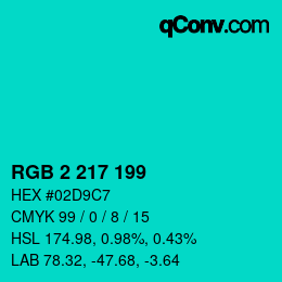 Color code: RGB 2 217 199 | qconv.com