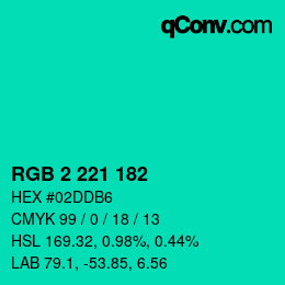Color code: RGB 2 221 182 | qconv.com