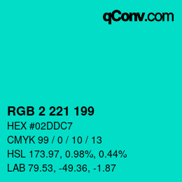 Color code: RGB 2 221 199 | qconv.com