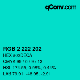 Color code: RGB 2 222 202 | qconv.com