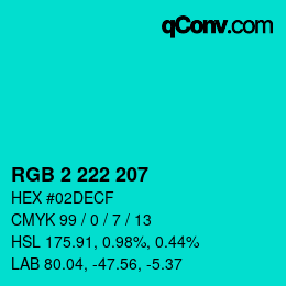 Color code: RGB 2 222 207 | qconv.com