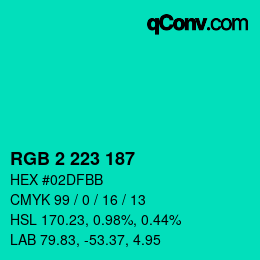 Color code: RGB 2 223 187 | qconv.com